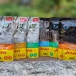 Josera Katzenfutter Test