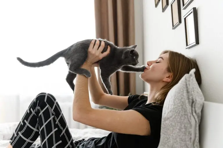 Katzen Krankheiten Mensch