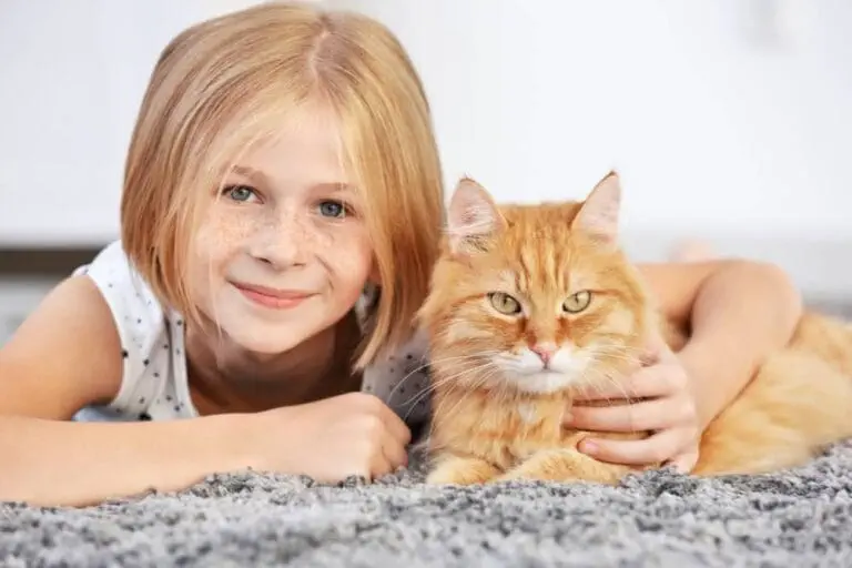 Katzenjahre in Menschenjahre umrechnen – So alt ist deine Katze wirklich