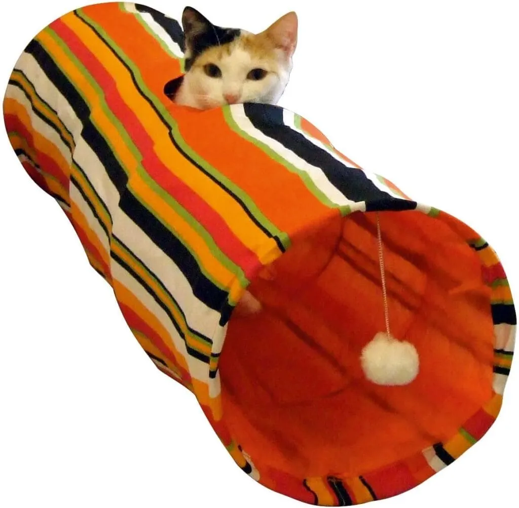 Katze Rennt Wie Verrückt Durch Die Wohnung Und Putzt Sich Katze rennt wie verrückt durch die Wohnung - Katzenwissen