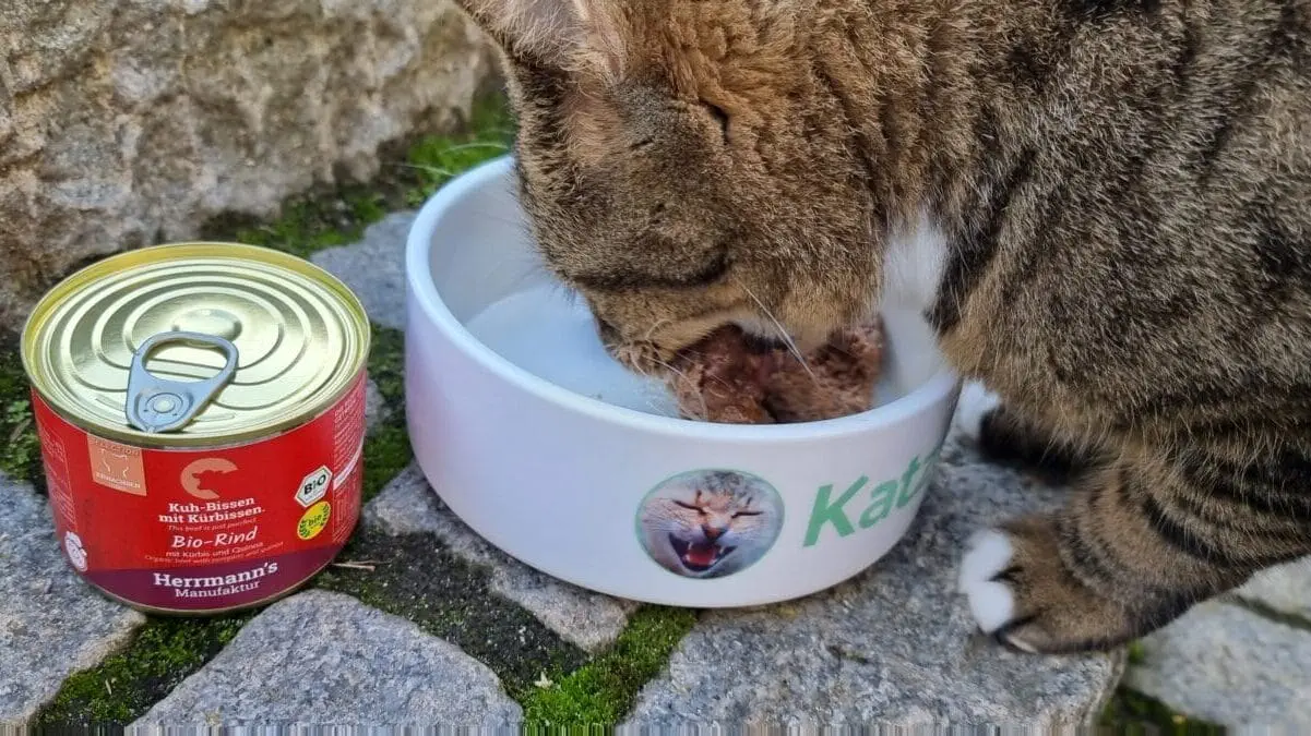 Praxistest Herrmann's Katzenfutter