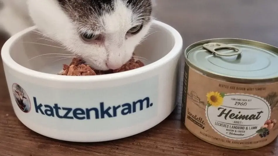 Praxistest Katzenfutter