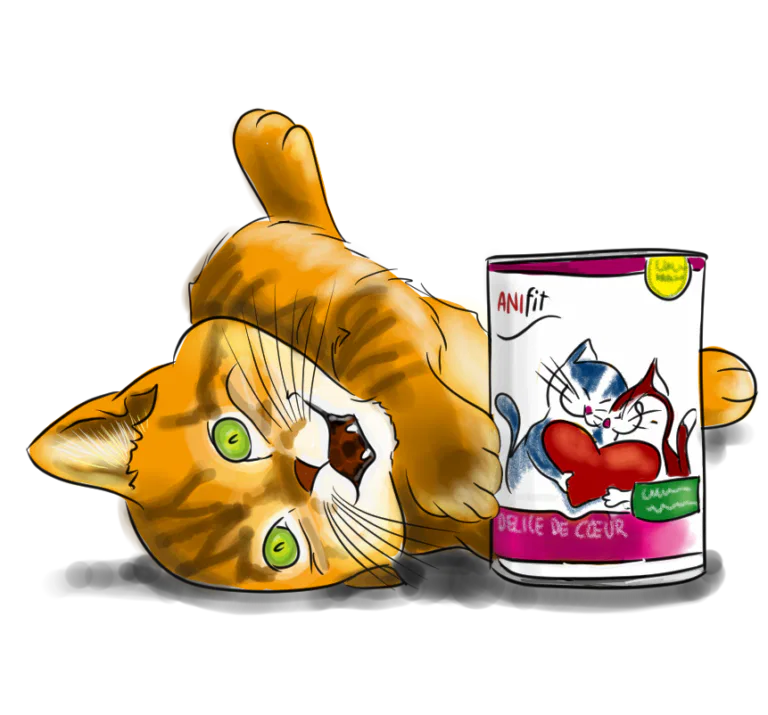 Katze Macht Milchtritt Auf Meinem Bauch Milchtritt bei Katzen - Warum treteln auch erwachsene Katzen?