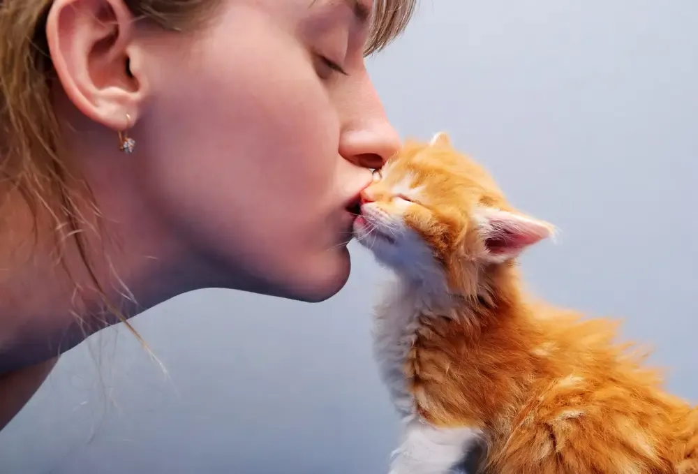 Milchtritt bei Katzen Warum treteln auch erwachsene Katzen?